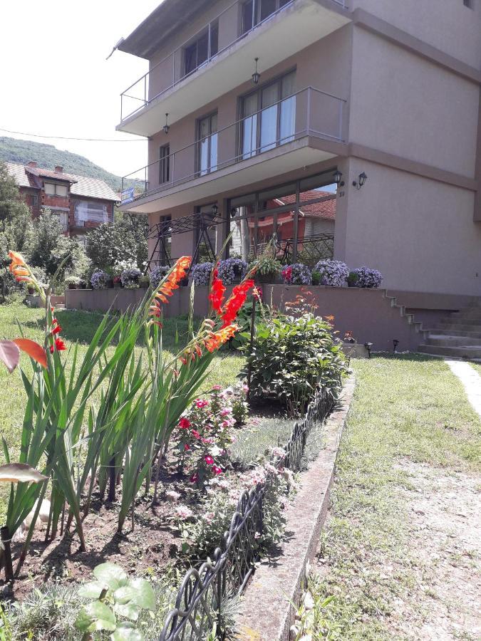 ניסקה בנז'ה Guest House Dimitrije מראה חיצוני תמונה