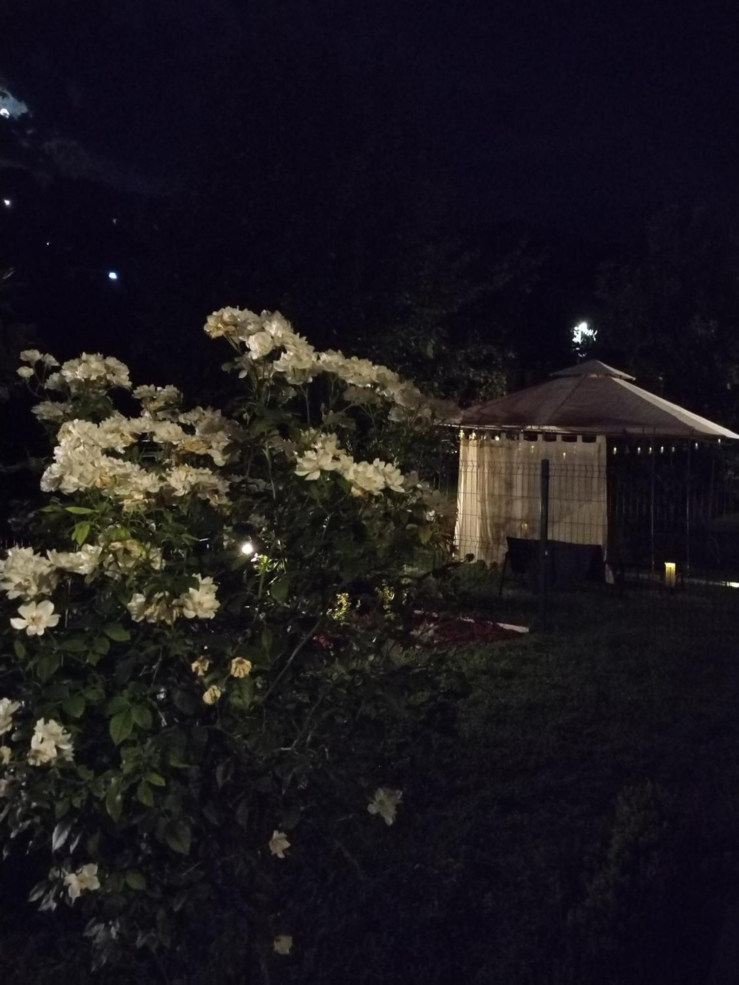 ניסקה בנז'ה Guest House Dimitrije מראה חיצוני תמונה
