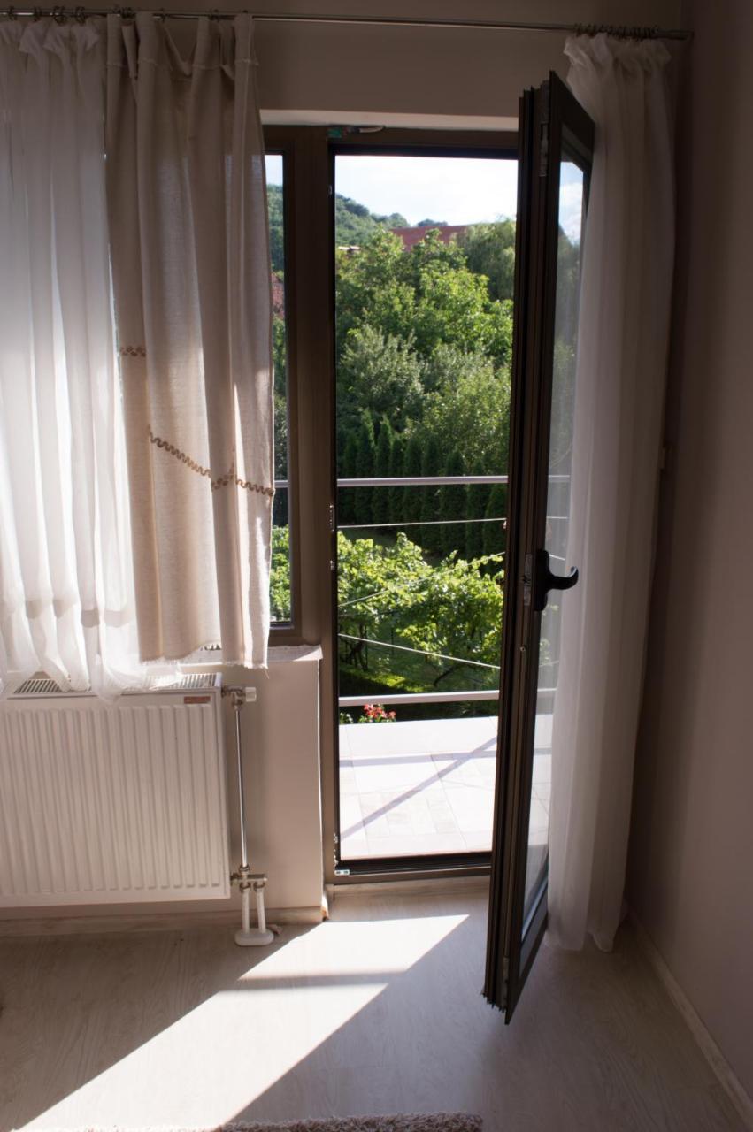 ניסקה בנז'ה Guest House Dimitrije מראה חיצוני תמונה